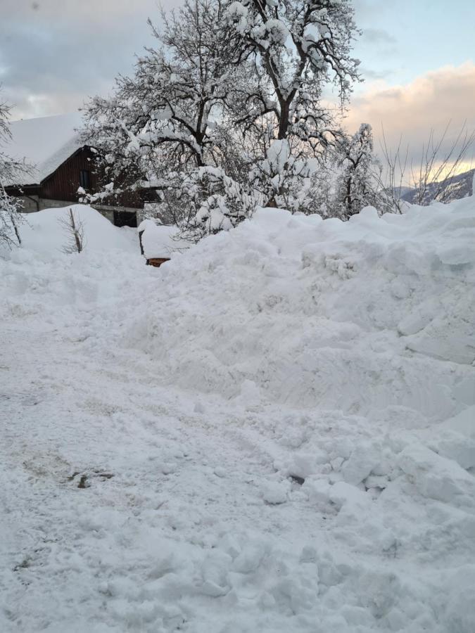 Ferienwohnung Salburg,Troepolach ภายนอก รูปภาพ